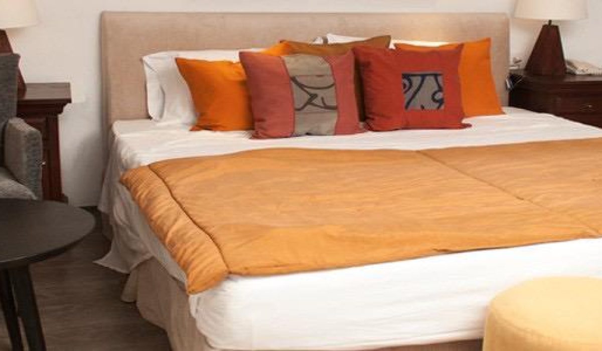 WhatsApp Image 2025-10-24 at 10.37.55 PM (1)