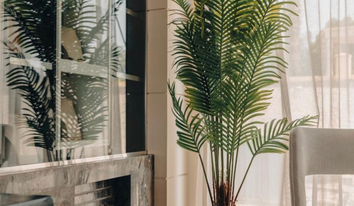 WhatsApp Image 2025-10-25 at 10.54.05 PM (2)